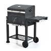 Custom Easy-to-clean Outdoor Height-adjustable Picnic Barbecue Charcoal Grill