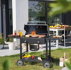 Custom Easy-to-clean Outdoor Height-adjustable Picnic Barbecue Charcoal Grill